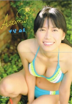 甲斐麻美 新品 中古商品 新品 中古のオークション モバオク